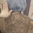 진주 효소찜질 연예인도 하는 건강관리 효소찜질 금화효소원 진주점