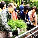 센트럴스위트 경로당 이미지