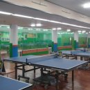 힐링탁구 이미지