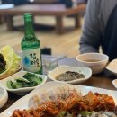 굴바다 이미지
