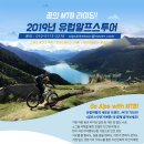 스위스투어