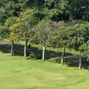 하원주유소 이미지