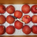 평전농장 이미지