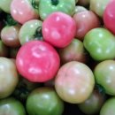 물안골농장 이미지