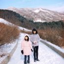 장수송학골로 이미지