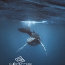 그레이트캠프 르푸앙(GREATCAMP Lepoint) | 그레이트캠프 이미지 GreatCamp images
