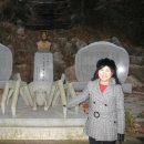 주필거미박물관 이미지