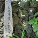 세화동백그늘 이미지