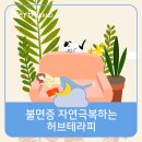 허브테라피