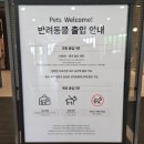 (주)유성푸드 | 대전 현대프리미엄아울렛 맛집, 연남토마에 다녀온 내돈내산 솔직후기