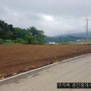 양지-3560 이미지