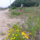 가천교화장실 이미지