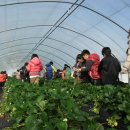 가남정보화마을 이미지