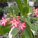 양재시장 이미지