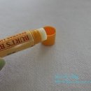 묘한냥 네이버블로그