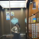 라인호스텔 | Shanghai 🇨🇳 1 (25.12.16 - 21) 인천공항 P4주차장, Hi cozy youth hostel, 동방명주, 와이탄...