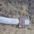 내포1리 이미지