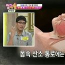 하라네이처 이미지