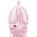 남성인쇄소