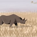 코뿔소의 발자국 이미지