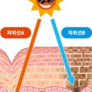포이즌의원 이미지