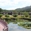 성기동 이미지