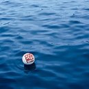 광장로1L | 블챌 4주차. 나약한 정신에 최애가 깃든다