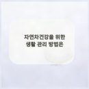 자연차