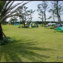 표선백사로 이미지