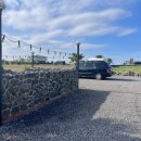 헤드홈탐라 이미지