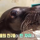 아롱이네 농장 이미지