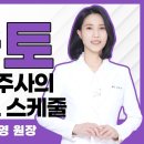 미슬토, 겨우살이 주사제 최적의 치료 스케줄 이미지