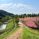 악양생태공원 이미지