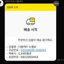 내돈내산 프리다이빙슈트추천 1년 사용후기!(Feat.더블케이, 시어친, 베스트다이브)