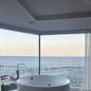 당신의안목 브리에 이미지