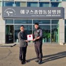 종합동물병원 이미지