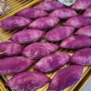 농협 해남군지부 앞 | 전남 해남 ‘ 몽소베이커리 고구마빵 ’ 빵지순례 착한가격 빵 맛집