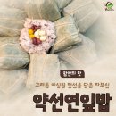 디자인노바 이미지