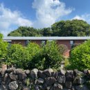 제주영숙 이미지