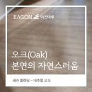 (주)삼정내츄럴 | 오크 본연의 자연스러움, 이건마루 세라블랜딩 내추럴오크 성남시 중앙동 롯데캐슬 30평 시공