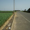 제주토지공인중개사사무소 이미지