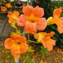 충렬사역 1번출구 이미지