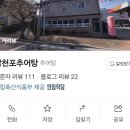 삼천포추어탕 | 사천 인생맛집에 등극한 추어탕 맛집 삼천포추어탕 추어튀김 추천 리뷰