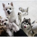 시화유치원 이미지