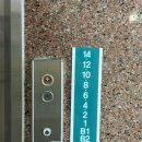 케렌시아 솔 이미지