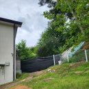 몽몽테일 이미지