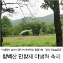 야생화와 숲속의 음악이 함께하는 힐링여행 `정선 하늘숲공원` 함백산 만항재 야생화 축제 이미지