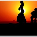 (기초) 댄스스포츠 이미지