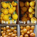 삼진농장 이미지