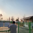 요천생태습지공원 애견놀이터 이미지